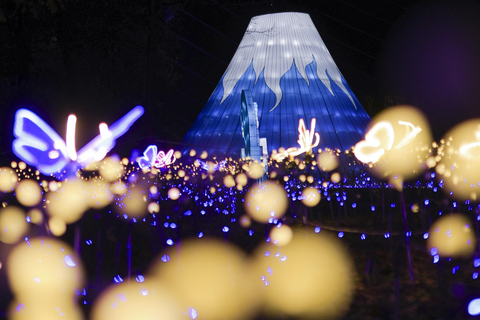 Jardin d'Acclimatation: Lantern Festival - Japan in Lights