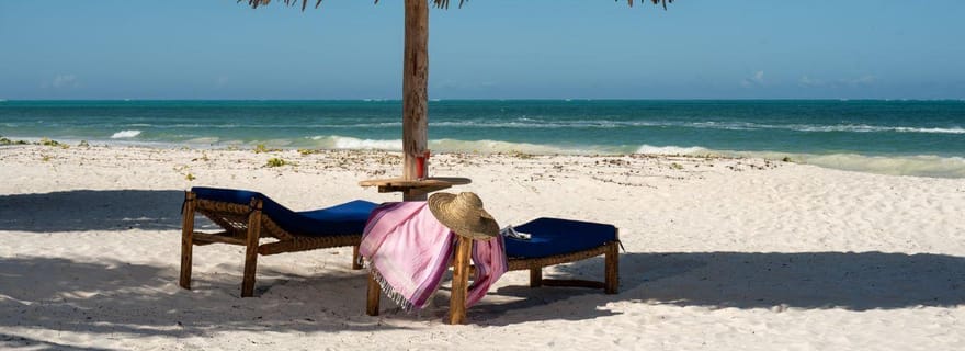 Excursion dans la forêt de Jozani et à la plage de Paje avec le restaurant The Rock