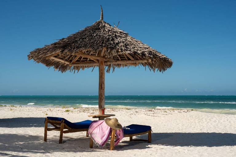 Jozani Forest &amp; Paje Beach Trip mit The Rock Restaurant