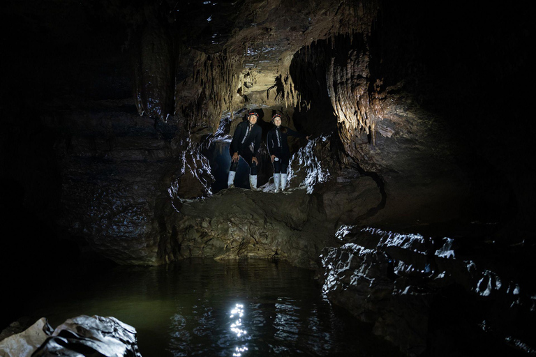 The Waitomo Experience : Okahua Glowworm Cave Tour