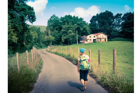 Från Tui: 9-dagars guidad Camino promenad till Santiago