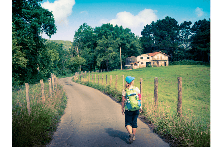 De Tui: Excursão guiada de 9 dias a pé pelo Caminho de Santiago