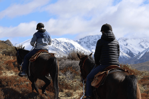 Hanmer Springs: Epic Half-Day Horseback Trekking in St James