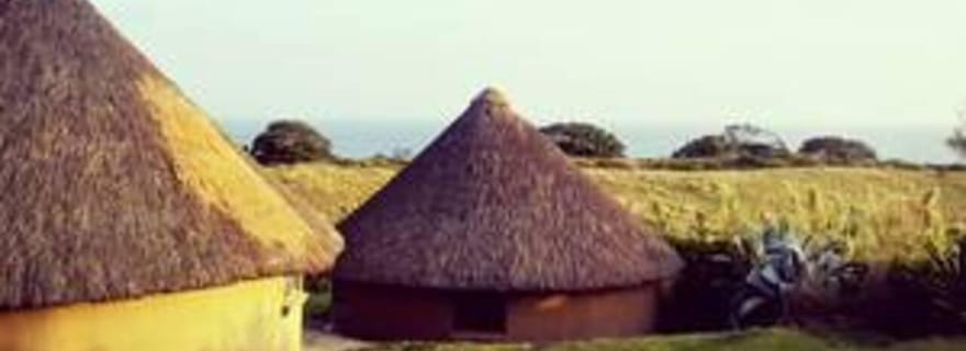 Londres Est : Visite culturelle du Transkei avec traversée en ferry