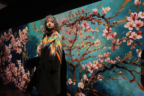 Gecombineerd ticket: Digitale tentoonstelling &amp; Illusiemuseum