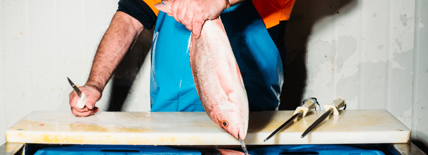 Visite des coulisses du marché aux poissons de Sydney