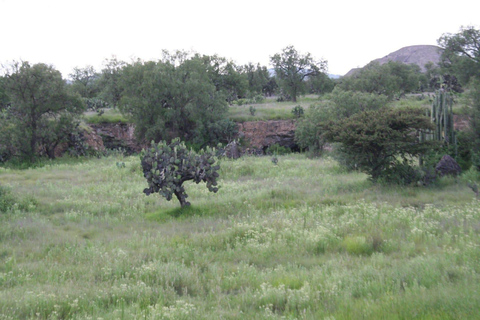 Città del Messico: Tour della Basilica e delle Piramidi di Teotihuacan