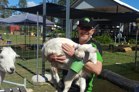 Alpaca Feeding with Wildlife & Nature Park VIP Private Tour Tour + Brisbane Airport or Cruise Terminal Drop-off