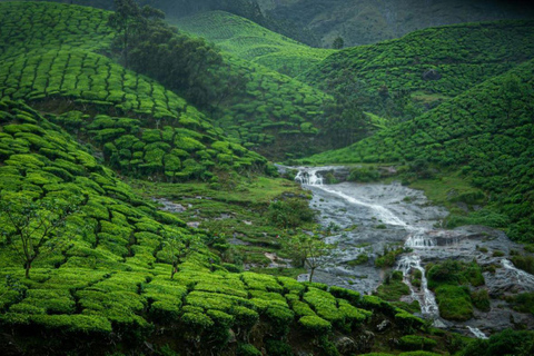 Old Delhi: culinaire streetfoodrondleiding met privévervoerPrivétour met auto, chauffeur en gids