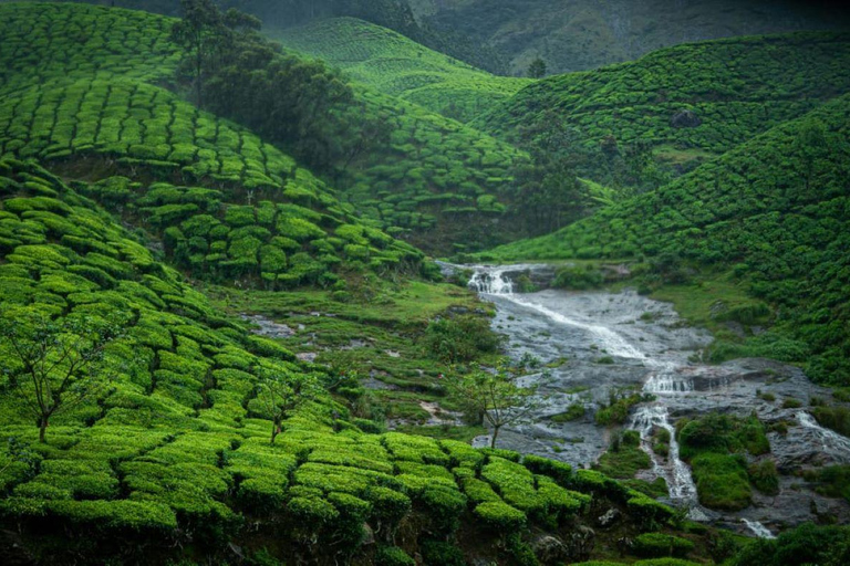 Old Delhi: culinaire streetfoodrondleiding met privévervoerPrivétour met auto, chauffeur en gids