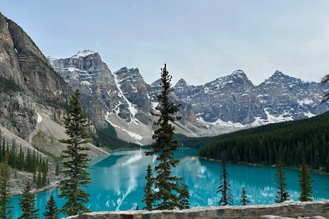 Moraine Lake and Lake Louise Blue Waters Tour