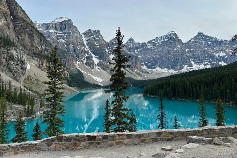 Moraine Lake and Lake Louise Blue Waters Tour