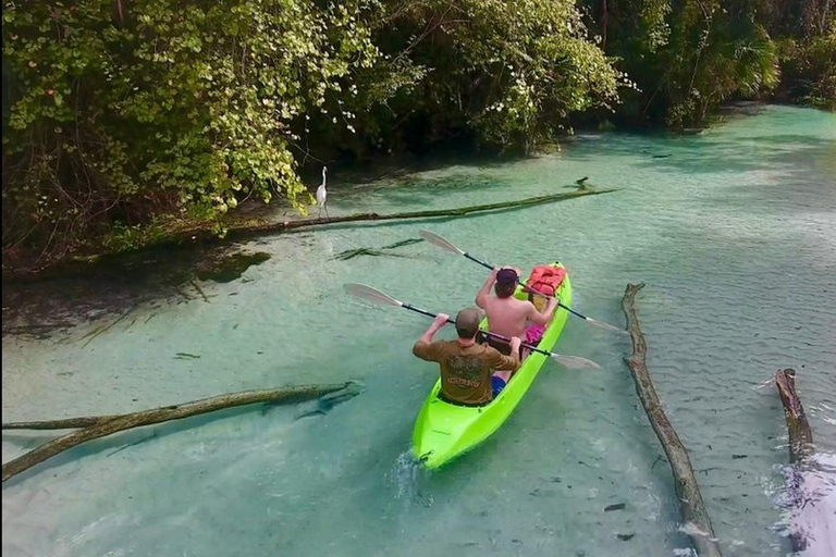 Florida: Rock Springs Run Clear Kayak Adventure