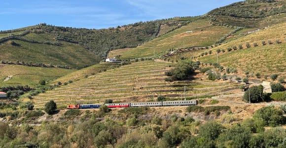 Porto: Douro-Tal: Zugtour, Bootsfahrt, Wein und Mittagessen