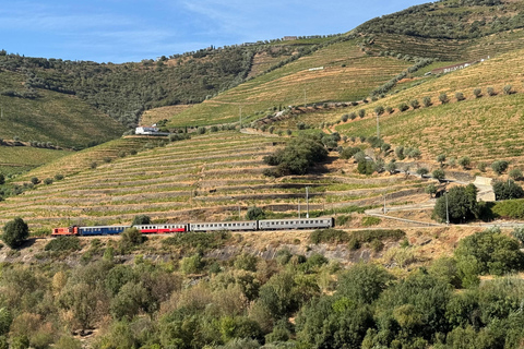Porto: Douro Valley Train Tour, Cruise, Wine & Lunch