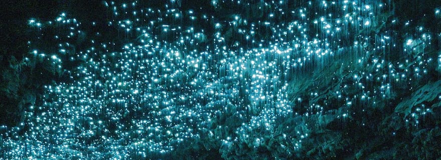 Auckland : Visite en petit groupe des grottes de Waitomo (vers luisants)