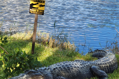 Everglades: boat tour with transportation&amp; entrance included