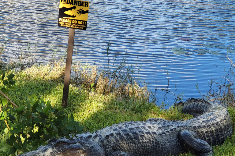 Everglades: tour en barco con transporte y entrada incluidos