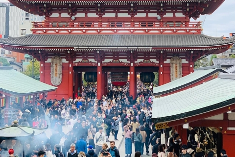 1 jour d'excursion touristique en charter privé à Tokyo
