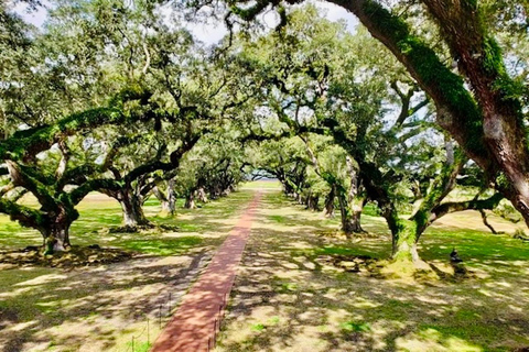 Depuis la Nouvelle-Orléans : Oak Alley ou Laura Plantation