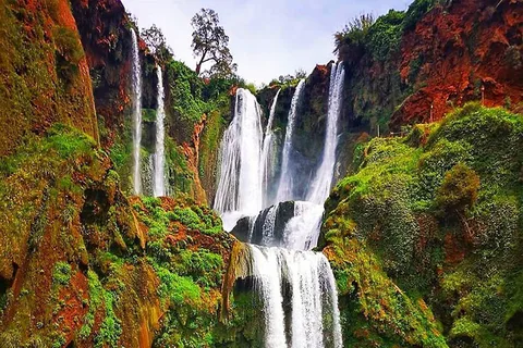 Escursione di un giorno alle cascate di Ouzoud da Marrakech con guida e barca