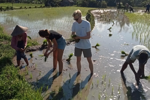 Sidemen vandring: En vandring ur olika perspektiv