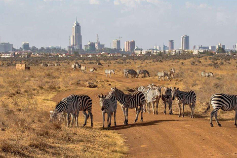 Wycieczka do Nairobi do Parku Narodowego, centrum słoni i żyraf.