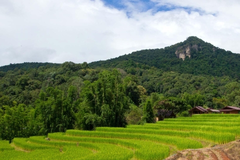 Chiang Mai : Excursion sur le sentier naturel de Pha Dok Siew et à Doi Inthanon