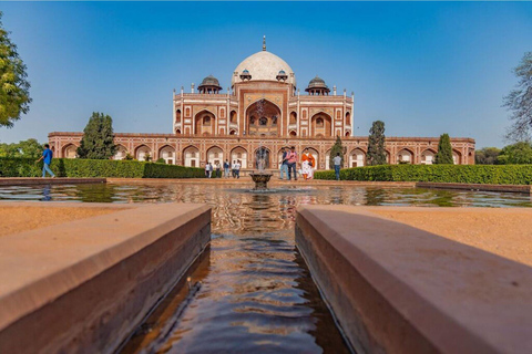 5 nätter 6 dagar Golden Triangle Indien Tour med RanthamboreRundresa endast med bil och förare