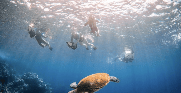 Wailea Beach: Guided Sea Scooter Snorkeling Tour