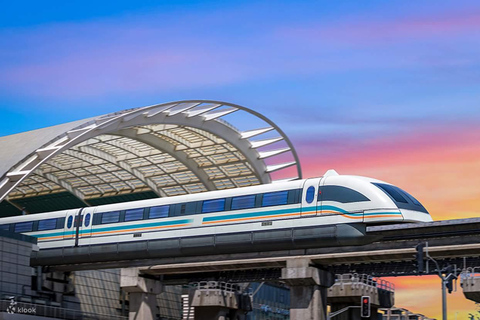 Shanghai: Maglev Train Ride with Guide