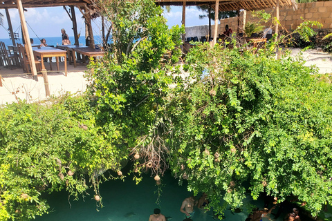 Zanzibar: Jozani forest, Butterfly center & Salaam cave tour Tour with Hotel pick up and drop off included