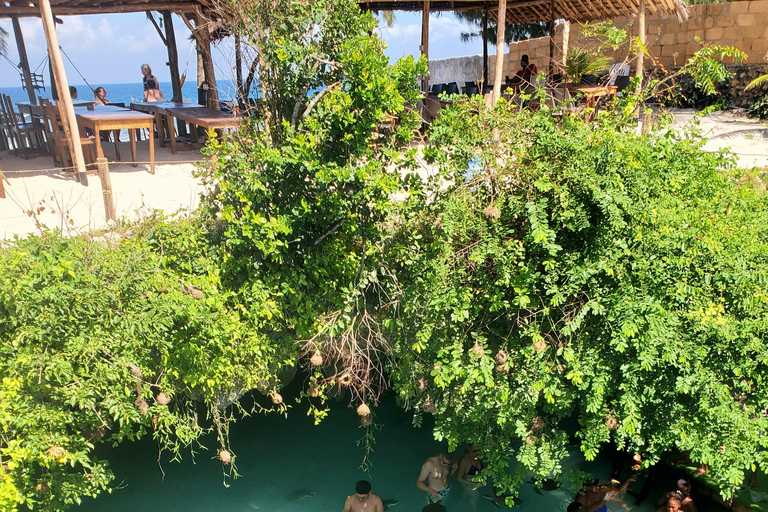 Zanzibar: Jozani forest, Butterfly center & Salaam cave tour Tour with Hotel pick up and drop off included