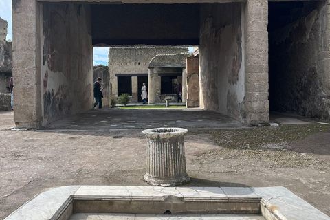 From Naples: Explore the Herculaneum Ruins and Vesuvius HERCULANEUM AND VESUVIUS: TOUR FROM NAPLES BY BUS