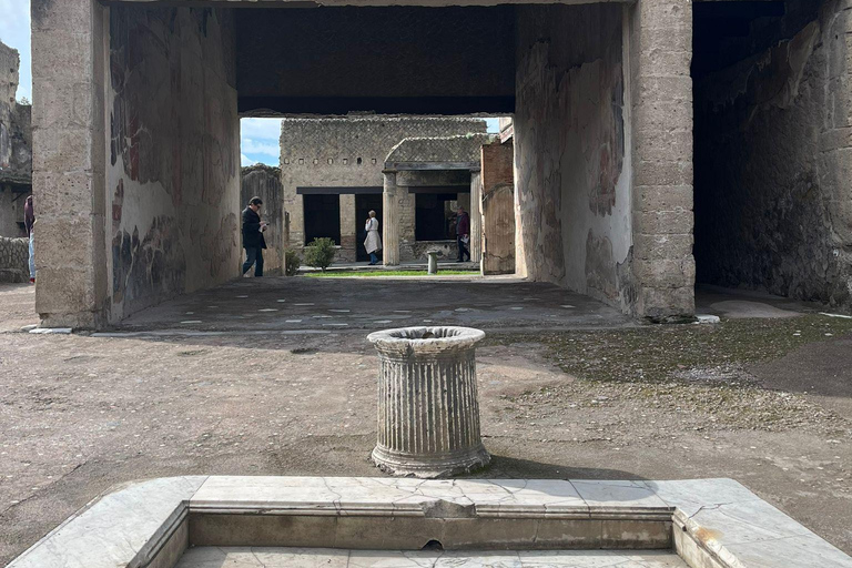 From Naples: Explore the Herculaneum Ruins and Vesuvius HERCULANEUM AND VESUVIUS: TOUR FROM NAPLES BY BUS