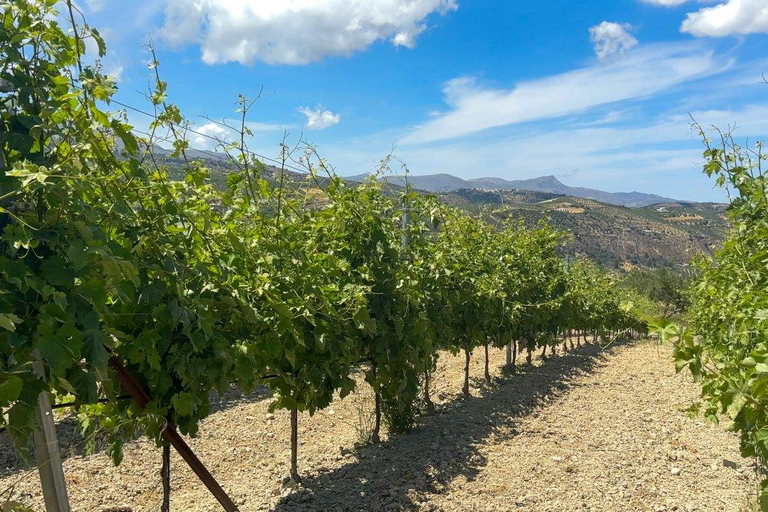HERAKLION: Wine tasting at Douloufakis Vineyards ARISMARI