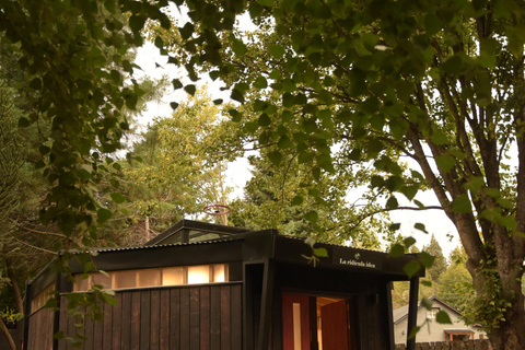 Pablo Bernasconi's Art Gallery Guided Tour