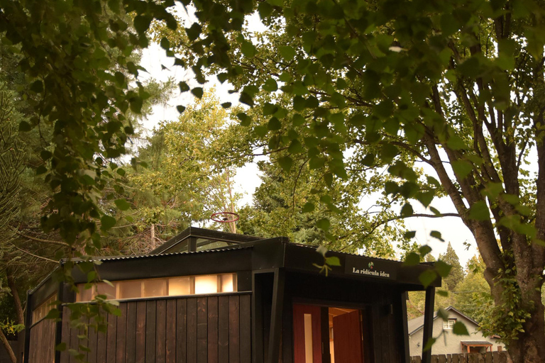 Pablo Bernasconi's Art Gallery Guided Tour