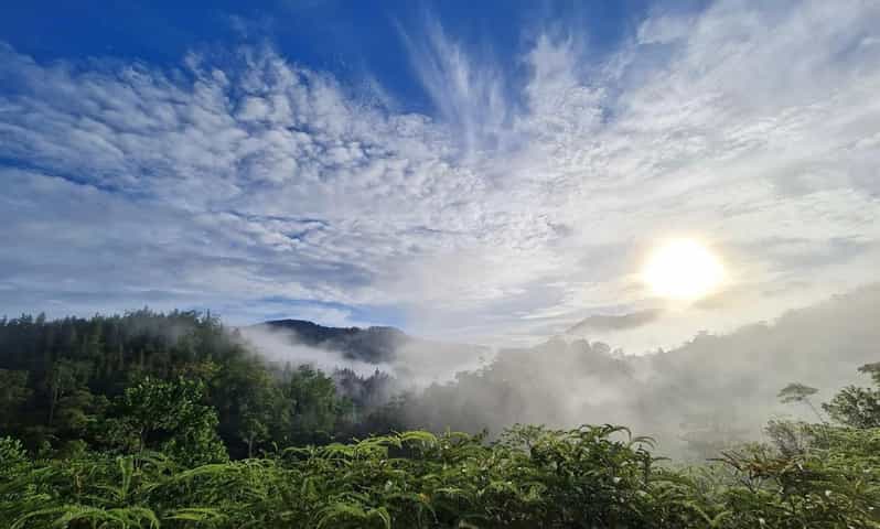 Srí Lanka : Sinharaja Rainforest Trek s průvodcem a vyzvednutím