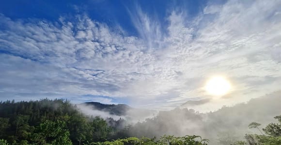 Sri Lanka : Geführte Sinharaja Regenwald Wanderung mit Abholung