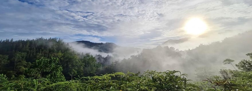 Sri Lanka : Randonnée guidée dans la forêt tropicale de Sinharaja avec prise en charge