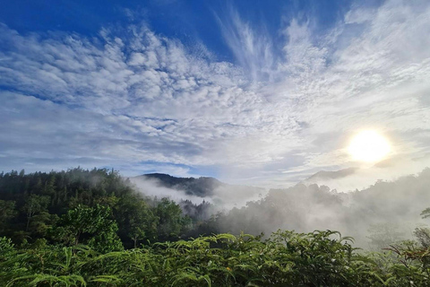 Sri Lanka : Sinharaja Rainforest Guided Trek with Pickup