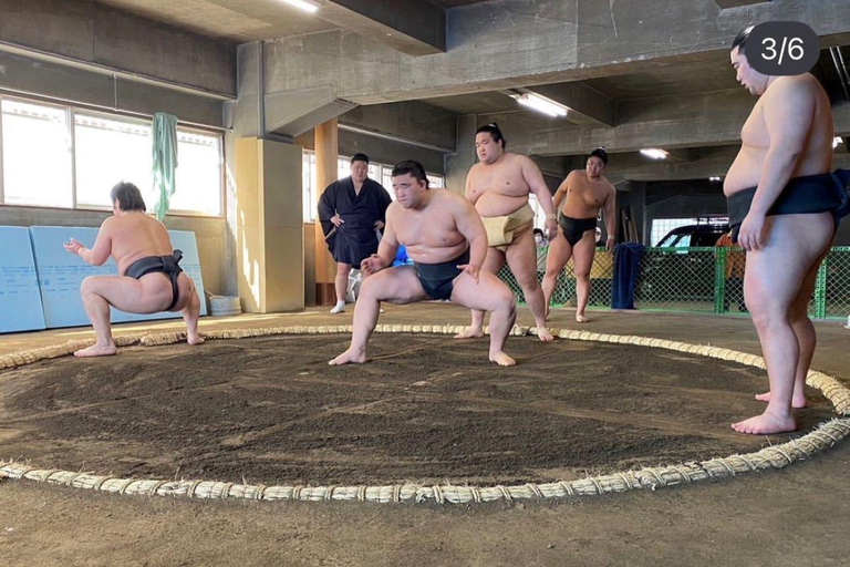 Osaka: Authentic Sumo Morning Practice & Chanko Lunch Authentic Sumo Morning Practice Viewing 【Only viewing】