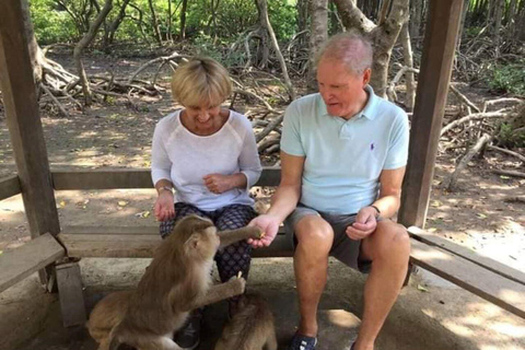 Visite d&#039;une jounée de la forêt de mangroves de Can Gio et de l&#039;île aux singes