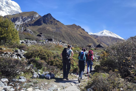 Kathmandu: Langtang Valley Trek 8-Days Guided Trek