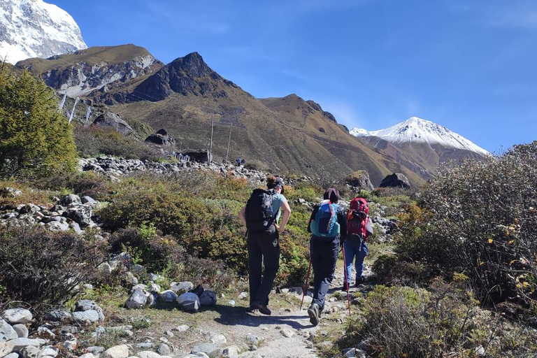 Kathmandu: Langtang Valley Trek 8-Days Guided Trek