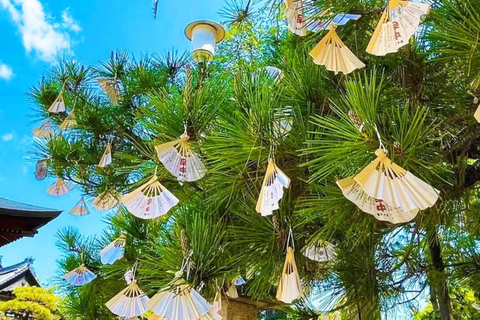 奈良：专业摄影和徒步导览