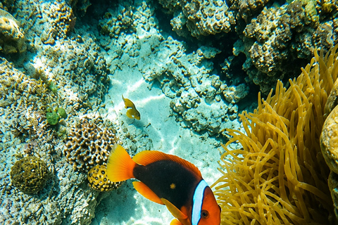 3-Day 2-Nights Group Boat Expedition from Coron to El Nido