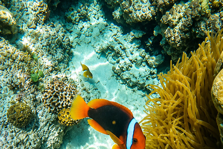 3-Day 2-Nights Group Boat Expedition from Coron to El Nido