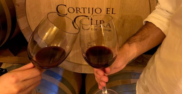 Almería: Wine tour and tasting in Organic Winery